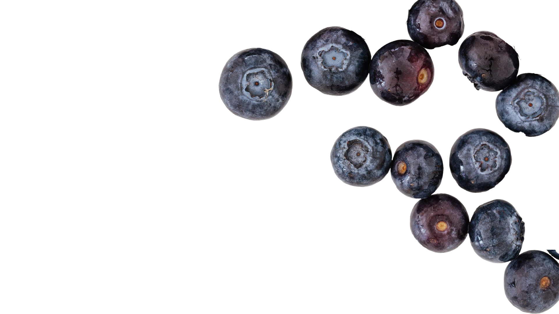 blueberry.png